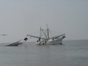 ShrimpBoat